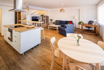 Apartmány v kúpeľnom meste Piešťany - 16