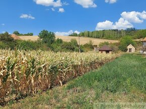 Pôvodná vínna pivnička na Modranskom viničnom vŕšku - 16