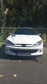 Peugeot 206 LPG + benzín - 16