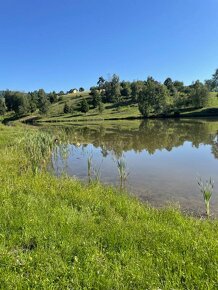 Predaj luxusného rodinného domu s úžasným pozemkom pri potôč - 16