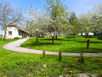 PRE NÁROČNÝCH - Výnimočné rodinné sídlo - farma, ranč - 16