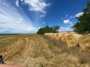 Jačmenná a pšeničná slama na predaj aj lucerka - 16