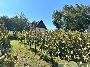 Viničný domček s vinohradom nad malebnou dedinkou Michal n - 16