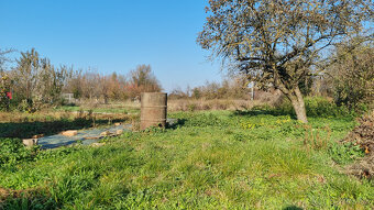 RODINNÝ DOM a POZEMOK 765m2 MODROVKA 10 km od PIEŠŤANY - 16