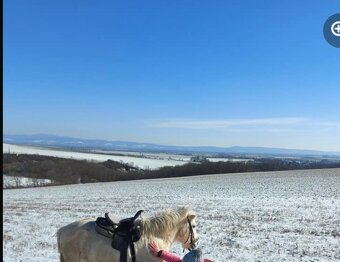 Na predaj zaujímavá, krásna, veľká - 16