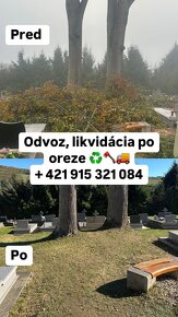 Vypratávanie nehnuteľností a odvoz odpadu, odvoz na zber - 16