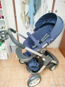 Stokke cruzi - 16