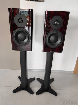 Dynaudio Special Forty Black Vine vysoký lesk - 16