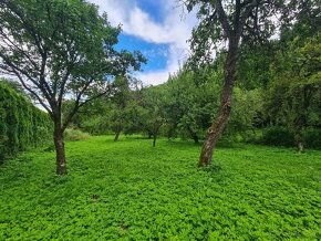 Rodinný DOM / CHALUPA, rovinatá záhrada 2.443m² Medzev GRUNT - 16