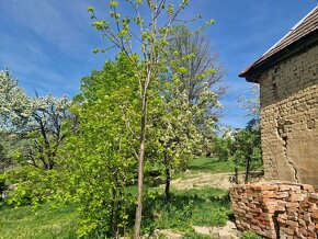 Chalúpka na Brezovke na polosamote staroturanských kopaníc - 16