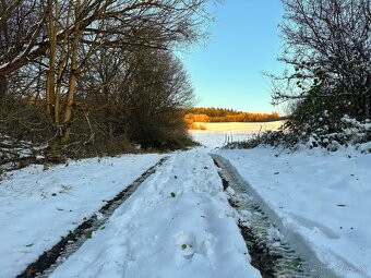 Pozemok DOHŇANY, časť ZBORA- cca. 6km od mesta PÚCHOV - 16