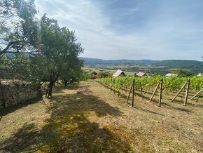 PREDAJ Chatka s nádhernou vinicou, Hrušov - 16