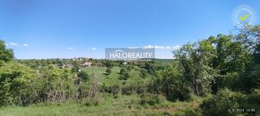 HALO reality - Predaj, rekreačný pozemok Krupina, iba 7 €/m2 - 16