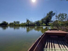 Veľký pozemok so starším rodinným domom v obci Martovce - 16