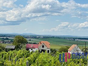 Vinohradnícky dom v obci Prietržka,okr.Skalica - 16