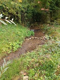 Predám rekreačnú chatu 15 km od Piešťan. - 16