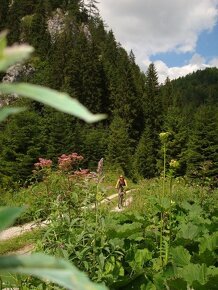 prenajom drevenice/chalupy v Blatnici, Velka Fatra - 16