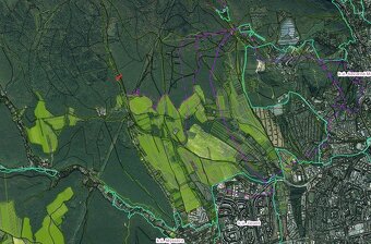 Kamenné (Košice) - 1.772 m2 LES v podiele 1/1 – NA PREDAJ - 17