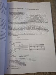 Anatómia/medicína - 1.ročník - 17