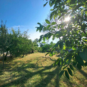 Na predaj sedliacky  Rd Kuraľany   Okres Levice - 17