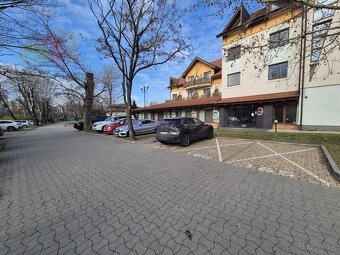 Na prenájom garsónka, 25 m², Draždiak House, BA – Petržalka, - 17