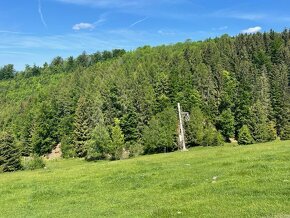 Predám hotel, lyžiarske stredisko, chaty, pozemky - 17