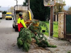 Kosenie trávnika, údržba zelene, strihanie živých plotov - 17