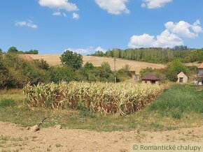 Pôvodná vínna pivnička na Modranskom viničnom vŕšku - 17