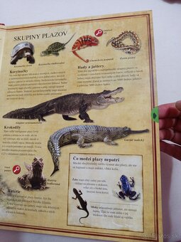 Knihy Plazy a dinosaury - 17