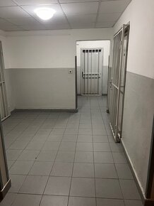 3 izb. byt, BRANČSKÁ ul. - 17