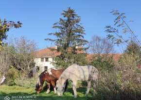 Vidiecke sídlo v tichom prostredí, ranč, stajne, poz.3,1 ha - 17