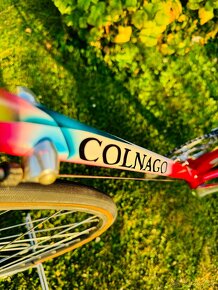 Colnago Master Olympic Decor “Trifoglio” - 17