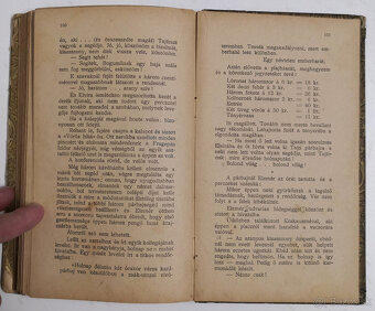 GAÁL MÓZES - Rács Márton regénye 1905 - 17