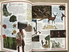 Obrázky z dediny, hôr, Jo Nesbo, Roald Dahl, Harry Potter - 17