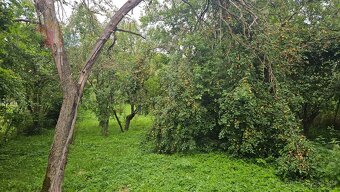 Rodinný dom/chalupa s veľkým pozemkom 2637 m2, Dolný Lopašov - 17