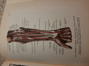 Anatomia človeka I-III - 17