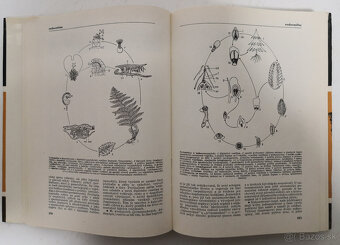 Naučný slovník zemědělský 8 diel - 17