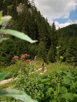 prenajom drevenice/chalupy v Blatnici, Velka Fatra - 17