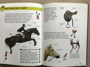 Všetko o koňoch, Zlatá kniha najkrajších rozprávok, Maťko - 17