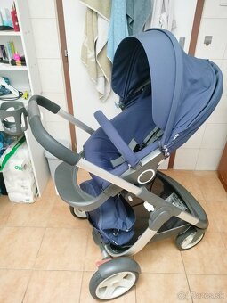 Stokke cruzi - 17