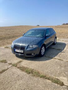 Audi A3 8P 1.9 TDi 2008 - 17