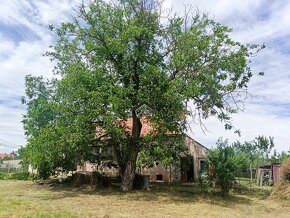 Predaj Rodinného Domu vo Veľkej Čalomiji - 17