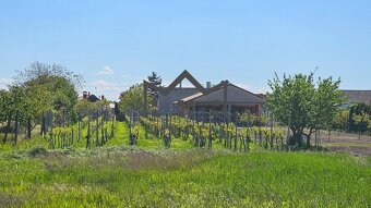 Rodinný dom s veľkým pozemkom 2300 m2 - Kostolná pri Dunaji - 17