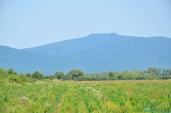 Rezervované, Rodinný dom v pokojnom prostredí, Veľké Revišti - 17