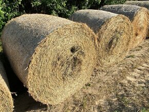 Slama a lucerka pre zvieratá - 17