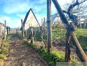 Dvojposchodová chatka s vinohradom na okraji obce Bátorové - 17