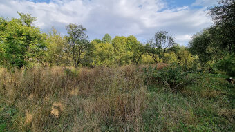 RODINNÝ DOM-CHALÚPKA s "VÍŠKOU" a POZEMOK 674m2 LUBINA-NMN - 17