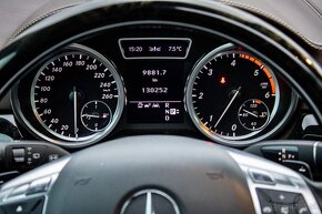 Mercedes-Benz ML 350 BlueTEC Edition 1, 4MATIC - 17