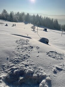 Útulná chata v krásnej Oravskej prírode - 17