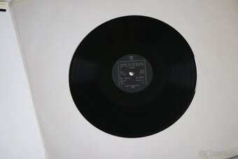 PREDÁM RÔZNE ZBERATELSKÉ LP PLATNE - 17